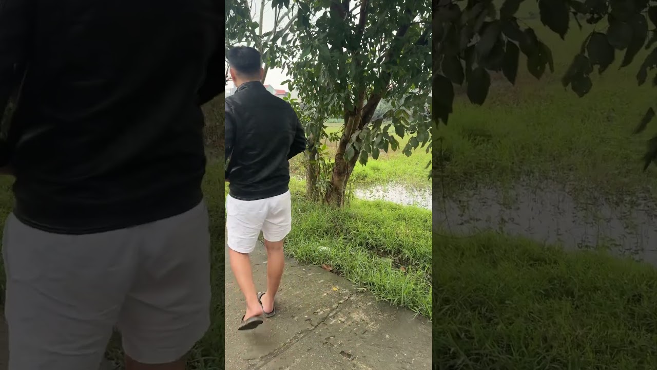 Được mấy cộng lông thôi ae 