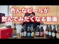 世界のビールを飲む【シメイ ホワイト】ベルギービール（BEER）