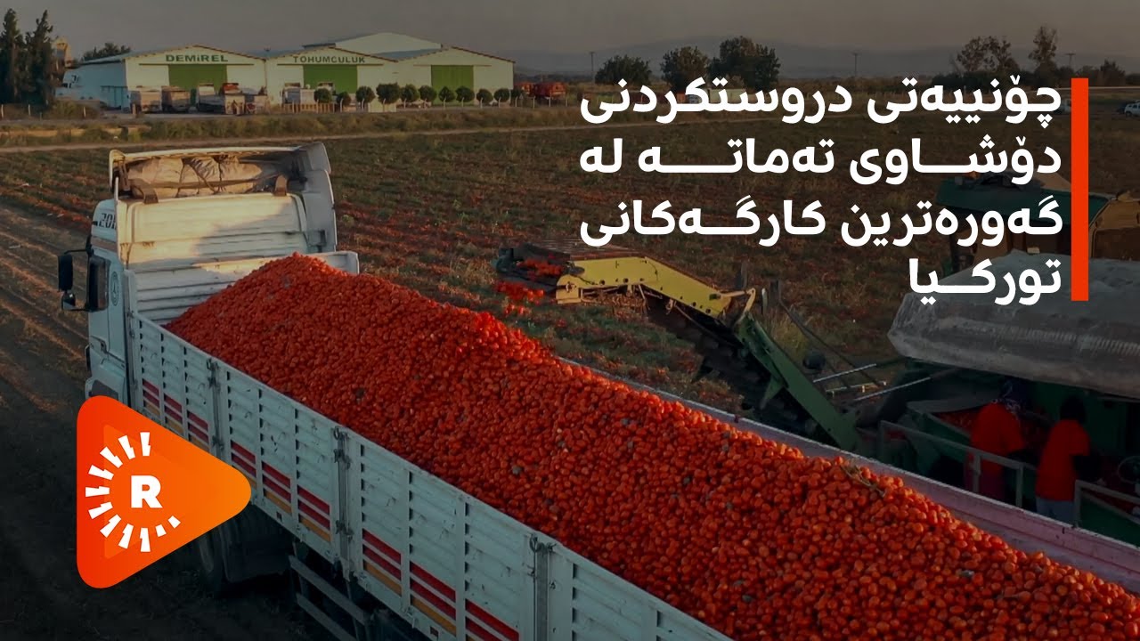 چۆنییەتی دروستکردنی دۆشاوی تەماتە لە گەورەترین کارگەکانی تورکیا