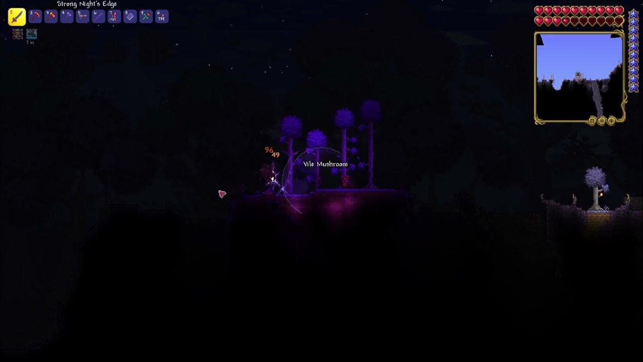 Terraria The Night