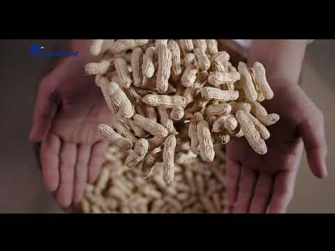 Kacang Garuda Isi 3