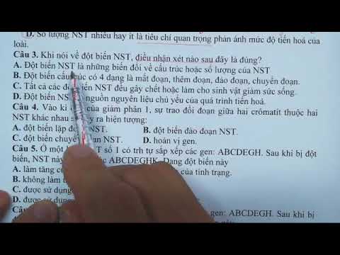 Lý thuyết sinh học 12 ôn thi đại học | [2k2] : Tài liệu Lý Thuyết Quan Trọng | Sinh 12 | Thầy Phan Khắc Nghệ