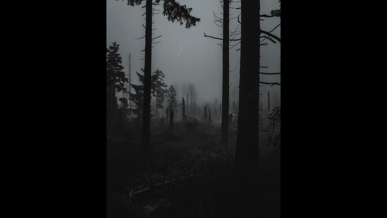 Ascendance slow reverb 🎧