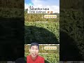 🤣🤣🤣seketika lupa lirik #funny #fun #funnyvideo #funnyshorts  #memes #ngakak #lucu #masukberanda