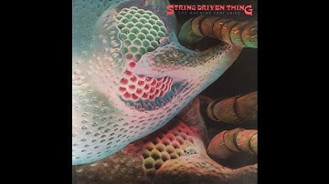 🇬🇧String Driven Thing - The Machine That Cried : 06 Travelling