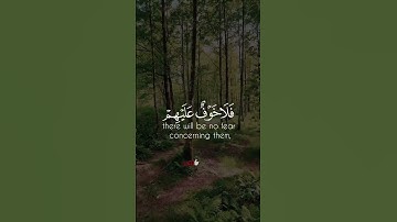 إن الَذِينَ قَالُوا رَبُّنَا اللَّهُ ثم اسْتَقَامُوا|سورة الأحقاف آية 13|تلاوة بدري التركي|قرآن شورت
