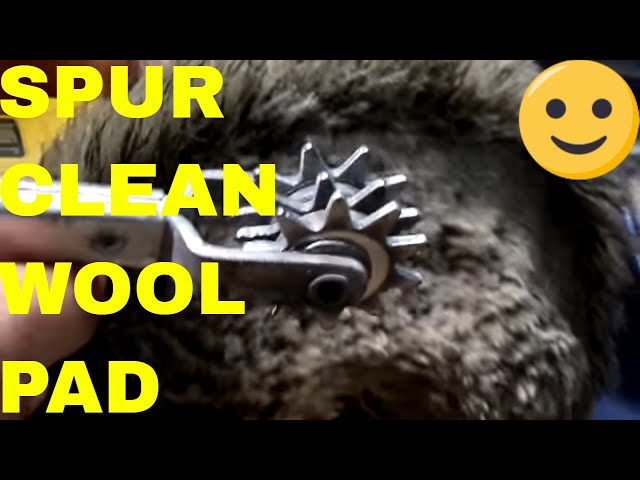 Wool Pad Cleaner Wool Pad Cleaning Spur Tool – For Car Detailing ...