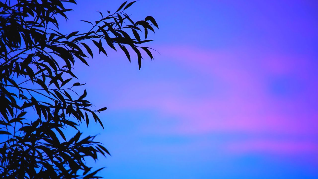 Sunset Music That is Calm • Relax Here Positive energy - Quiet, Serenity Instrumental Sounds -Sleep♫