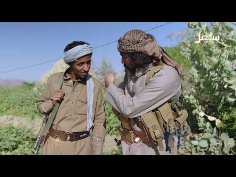 أم فواز مثال لشجاعة المرأة اليمنية #الزوبعة
