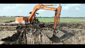 #tùngmiềntây sáng cuốc HITACHI lên liếp vét mương láng ót quá điêu luyện |tùng miền tây|