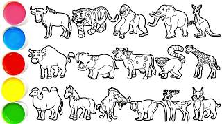 Disegna 16 fantastici animali in pochi minuti: gnu, tigre, gorilla, elefante, canguro, toro e altri
