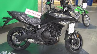 Kawasaki Versus 650 Motorcycle (2023) Exterior And Interior