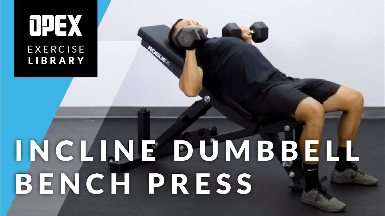 Incline dumbbell bench press, Exercise Videos & Guides