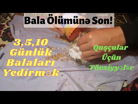 Video: Uşaqlar 4 yaşında nə bilməlidir? 4 yaşlı uşaq nəyi bacarmalıdır?