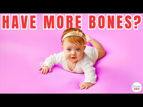 Video: Pääsiäinen trivia: kiehtovia faktoja vauvojen poikasista, ankanpoikasta ja pupuista
