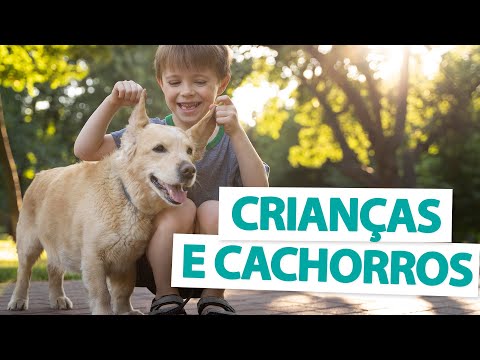 5 DOG BREEDS FOR KIDS! - Pet list 🐶