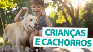 5 CACHORROS PARA CRIANÇAS! - Lista pet 🐶 by Manual Pet 856 views 2 years ago 2 minutes, 34 seconds