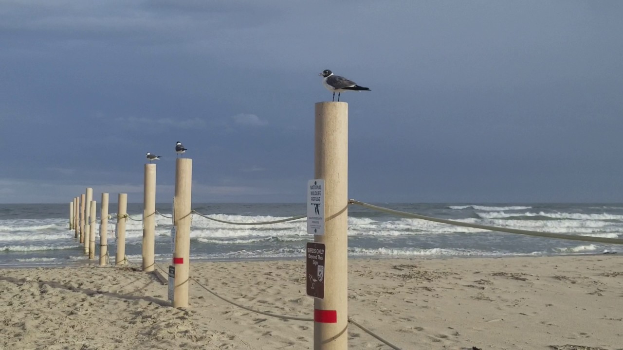 Tour of Diamond Beach, NJ... COOL AREA!! YouTube