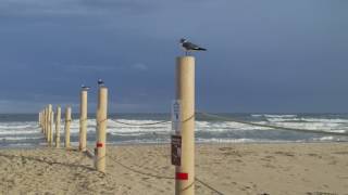 Tour of Diamond Beach, NJ... COOL AREA!!