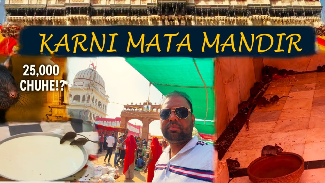 Karni Mata Mandir Deshnok | Rat Temple Bikaner Full Tour | India’s Most Mysterious Temple 