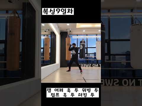 복싱 9일차 #shorts