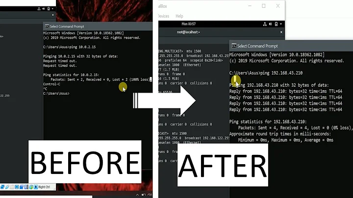 Connecting Guest OS to Host OS | Request Timeout Error |Ping Test in virtual OS and Base OS