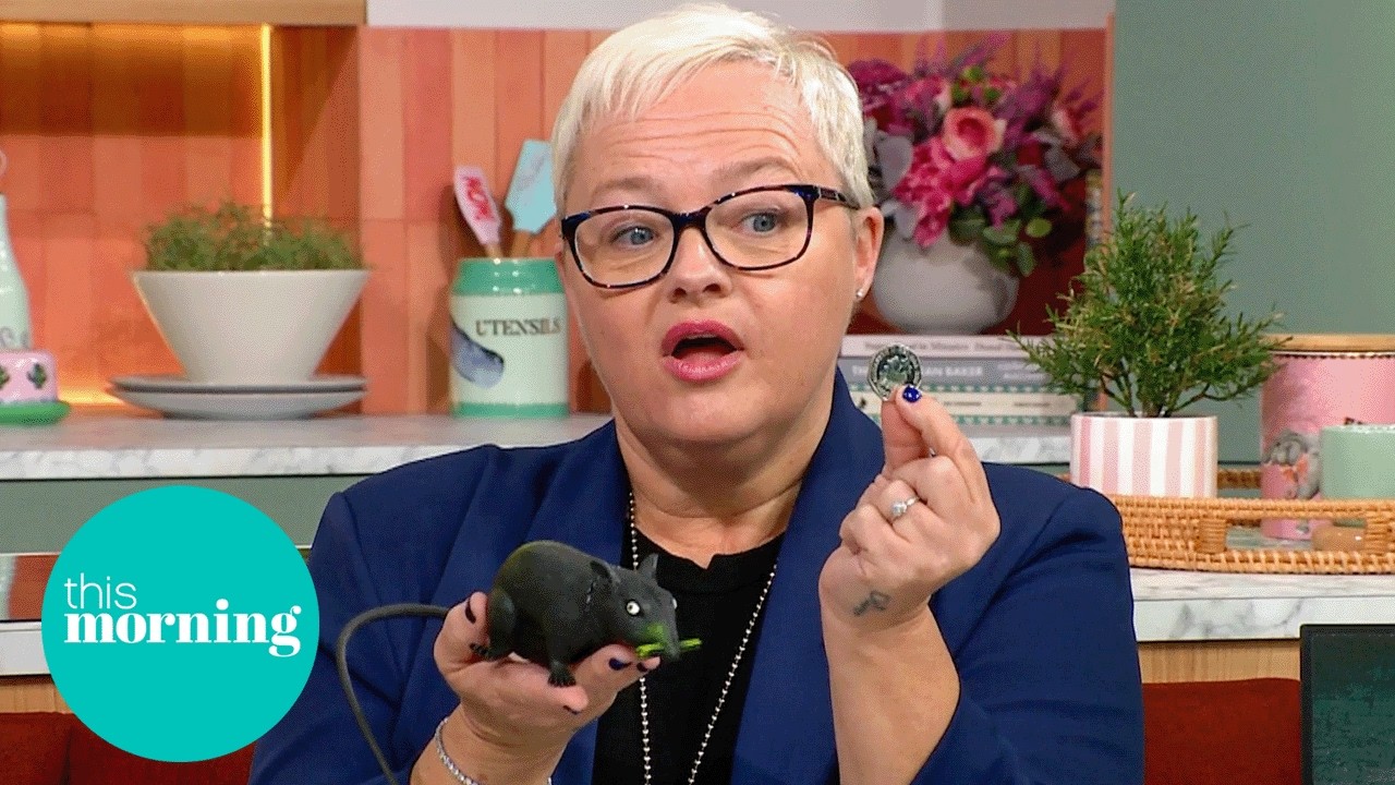 The Rat-Proofing Tips Every Homeowner Should Know | This Morning