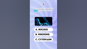 Science Quiz - Part 1 #sciencequiz #generalknowledge #triviachallenge