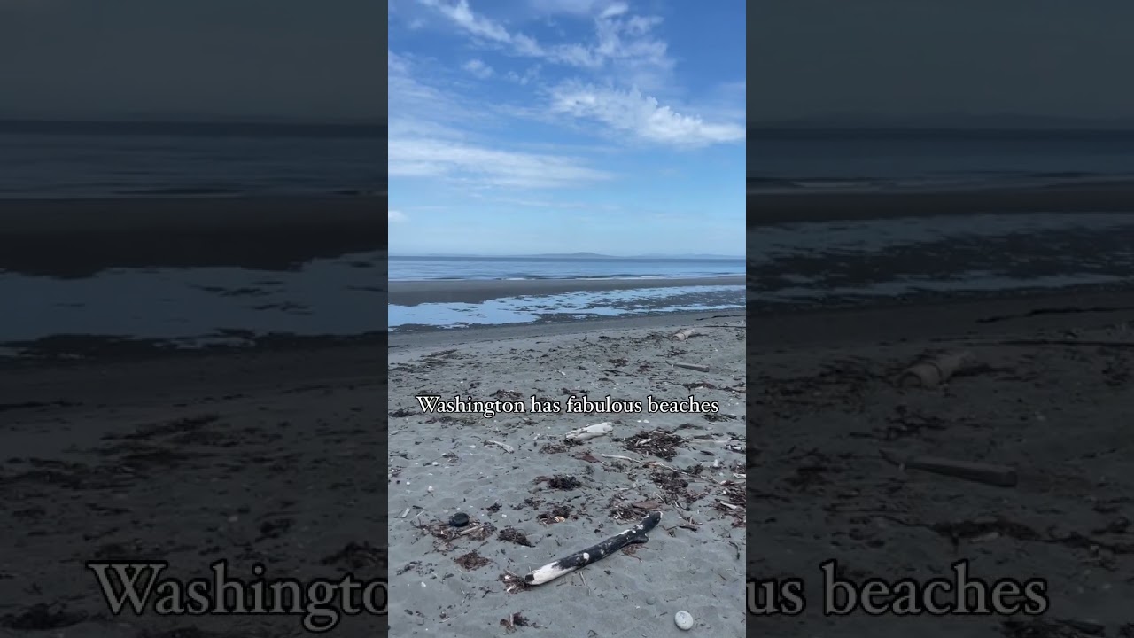 Washington beaches are beautiful! Believe it or not! 