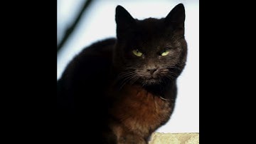 Daylight Saving Time  #facts #time