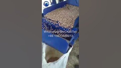 Combined Peanut Sheller | Feedback Video on Groundnut Skin Remover from Zimbabwe Customer #peanut