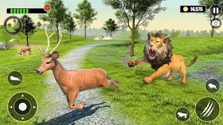 🦁 Lion Hunting Giant Deer in Jungle Survival Simulator | Epic Wildlife Chase Gameplay 2026 😱