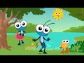 Bob Zoom Peixe de Vivo em @PlayKidsBrasil 