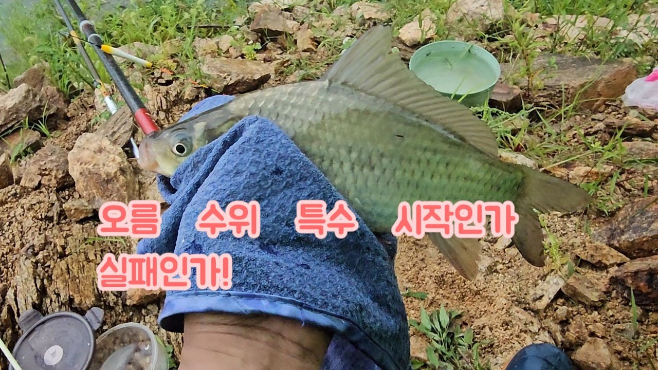 합천  댐 오름 수위 낚시법1#25-17*1편