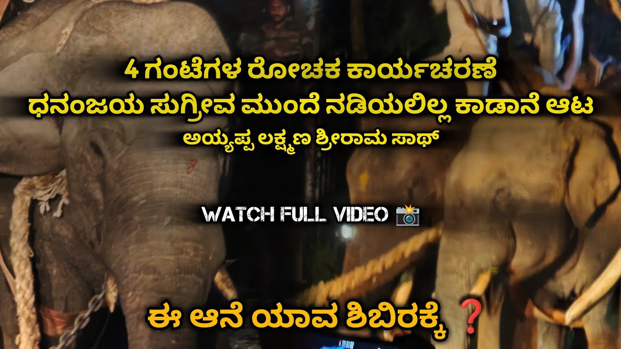 ಧನಂಜಯ ಅಯ್ಯಪ್ಪ ಸುಗ್ರೀವ  ಆರ್ಬಟಕ್ಕೆ ಸುಸ್ತಾಗಿ ನಿಂತ ಕಾಡಾನೆ 😔ದುಬಾರೆ ಆನೆ ಶಿಬಿರಕ್ಕೆ ಹೊಸ ENTRY 🦣