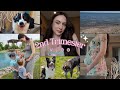 PREGNANCY VLOG | 2nd Trimester | Symptoms, What I Eat & Supplements