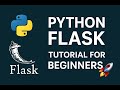 Live Python & Pandas Class | Learn Data Analysis Step by Step- Day 12