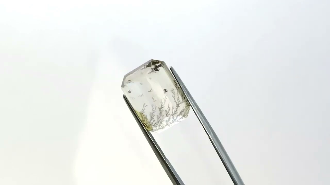 デンドリティッククォーツ 9.99ct | 天然石ルース（裸石） | LiVES ONLINE