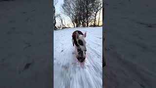 Having Fun In The Snow