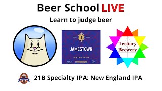 Learn to judge beer. BJCP 21B Specialty IPA NEIPA - Thornbridge - Jamestown screenshot 2