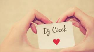 Dj Cicek - Ne Qeribesen Ey Heyat