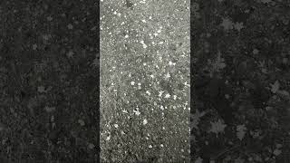 Snow flake zoom.    #photography #picture #snow #snowflakes #viral