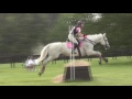 Audrey Dixon &amp; Kenobi on Q - MayDaze Novice Cross Country 2017