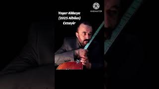 Yaşar Akkaya cezayir