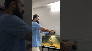 My New Angel Fish Tank Setup