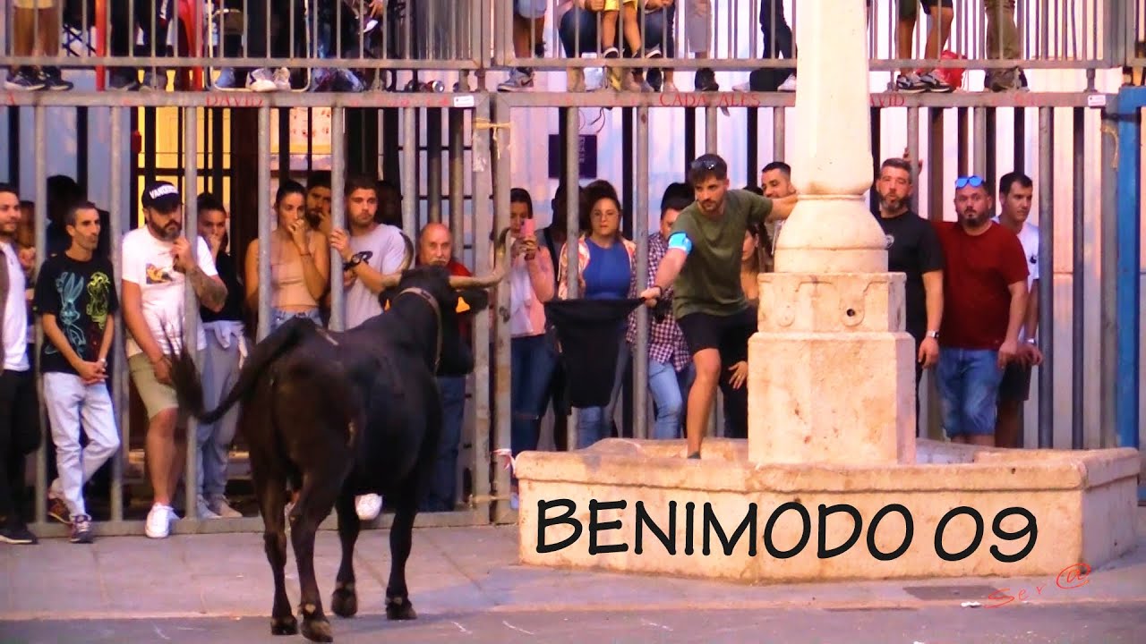 ✅2022 BENIMODO 09 Ganaderia Benavent