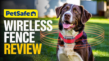 PetSafe Wireless Fence Review – My Dog Escaped Until I Tried This!