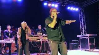 Combat Wombat Rainbow Serpent 2013