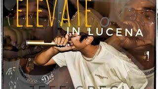 JEFF GRECIA - ELEVATE (live performance) | LUCENA VINTAGE NIGHT 2