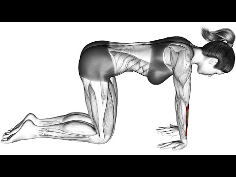 Do This to Strengthen Your Upper and Lower Back